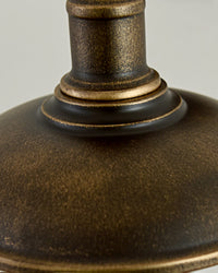 WOMO Gooseneck Barn Wall Lamp-WM9143