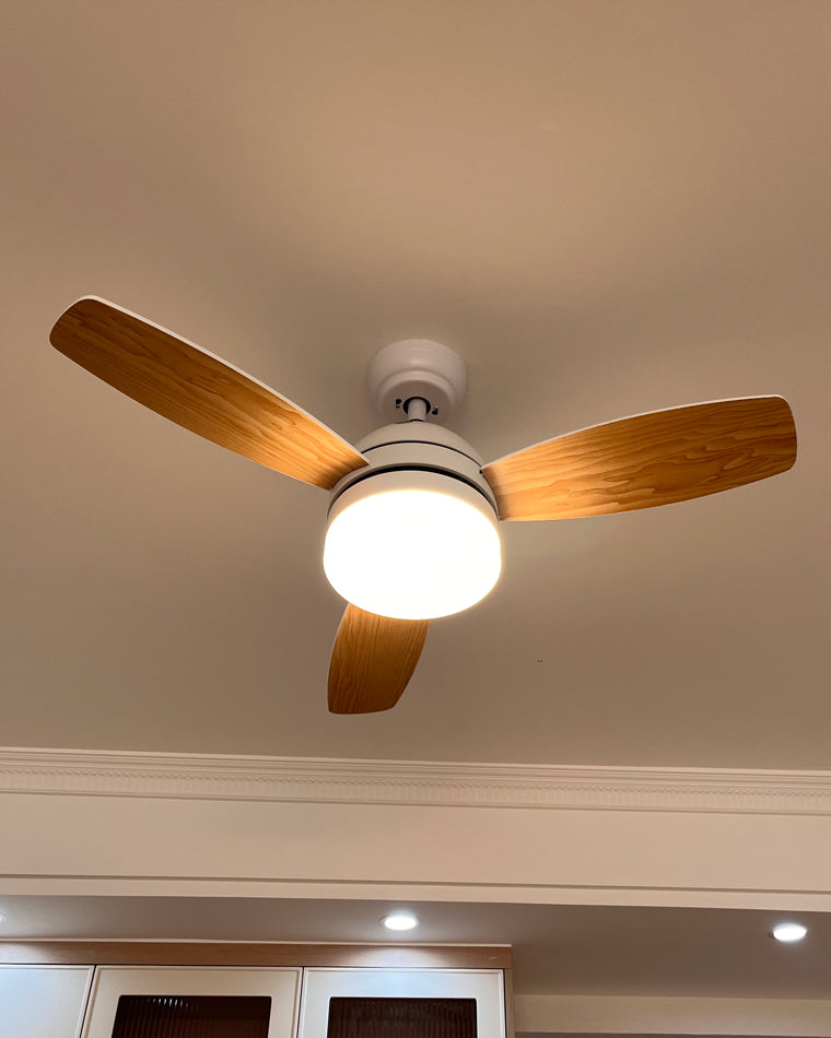 WOMO 3 Wood Blade Ceiling Fan Lamp-WM5001