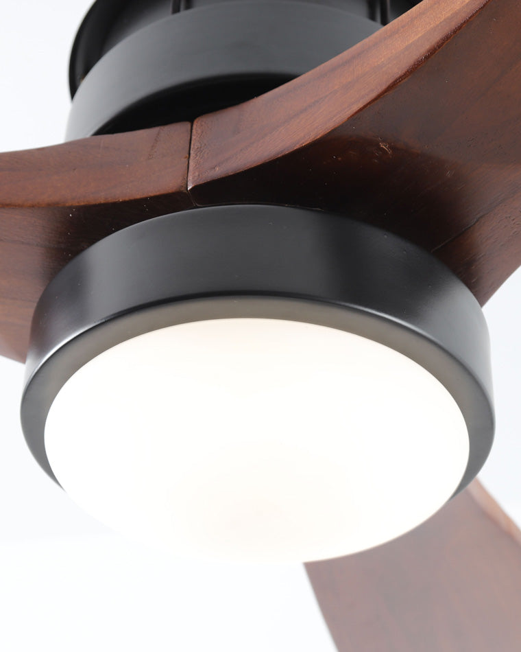 WOMO 3 Blade Black Ceiling Fan Lamp-WM5075