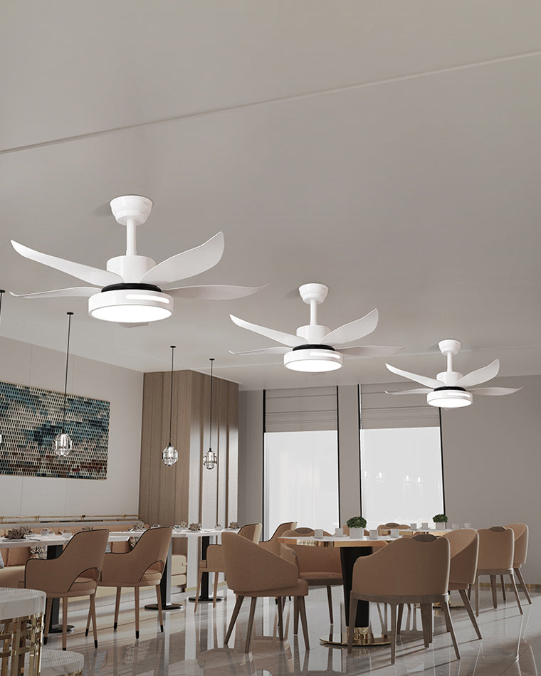 WOMO 5 Blade Contemporary Ceiling Fan Lamp-WM5000