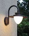 WOMO Gooseneck Outdoor Wall Light-WM9153 thumbnail