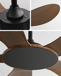 WOMO Modern Ceiling Fan - WM5168