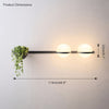WOMO Globe Plant Wall Sconce-WM6035 thumbnail
