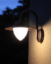 WOMO Gooseneck Outdoor Wall Light-WM9153 thumbnail