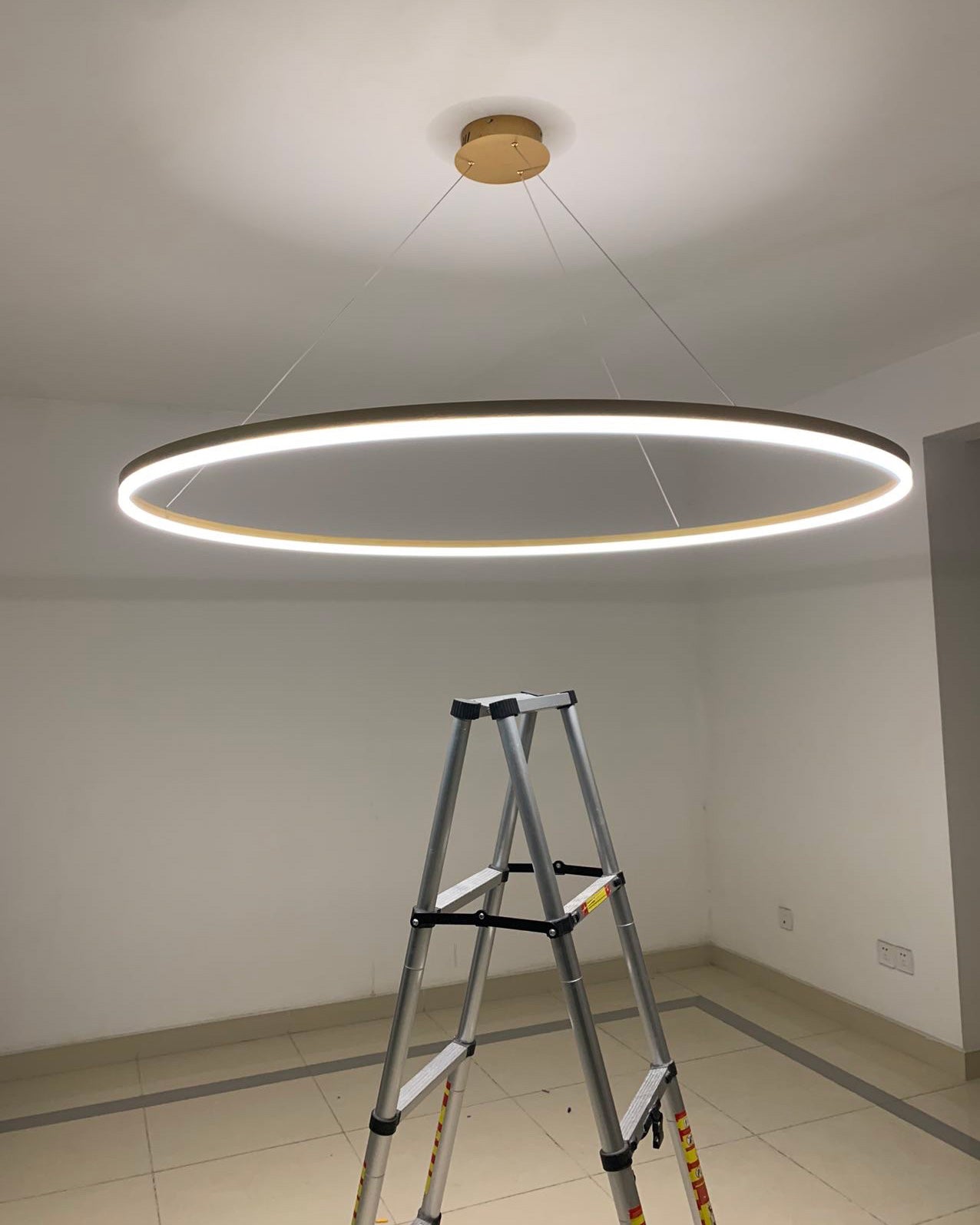WOMO Ring LED Pendant Light-WM2030