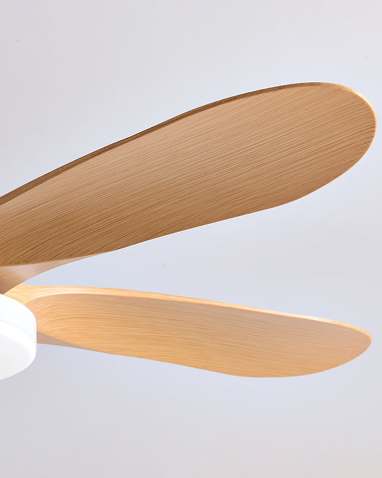 WOMO Minimal Ceiling Fan with Light-WM5002