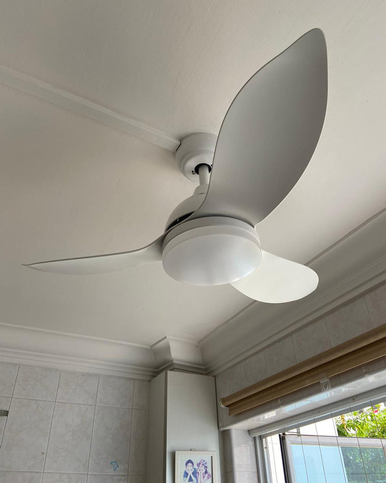 WOMO White Modern Ceiling Fan Lamp-WM5109