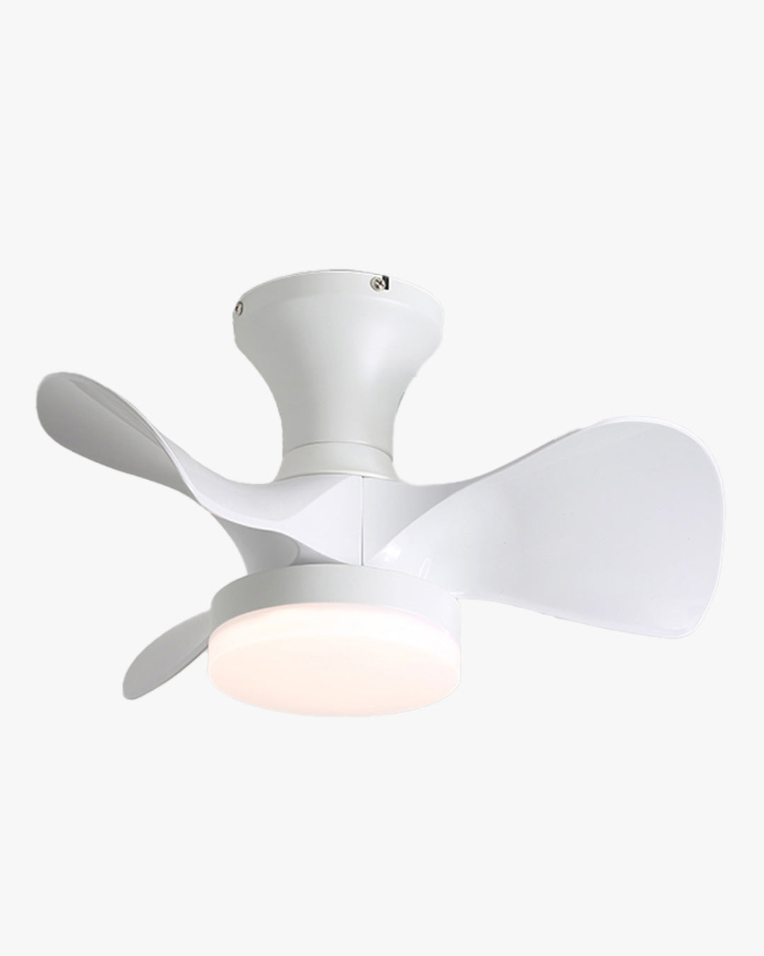 WOMO 20" Small Propeller Ceiling Fan Lamp-WM5024