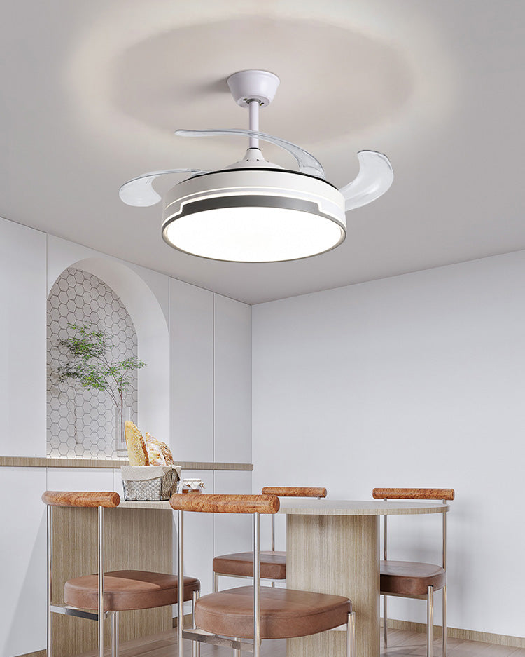 WOMO Modern Retractable Ceiling Fan Lamp-WM5029