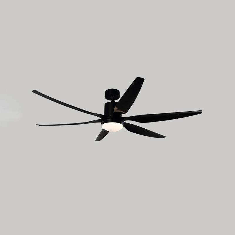 WOMO 5 Blade Large Ceiling Fan Lamp-WM5064