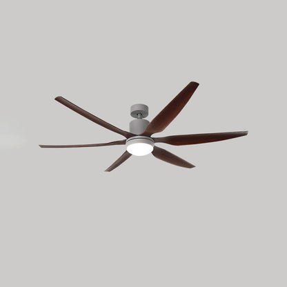 WOMO 5 Blade Large Ceiling Fan Lamp-WM5064