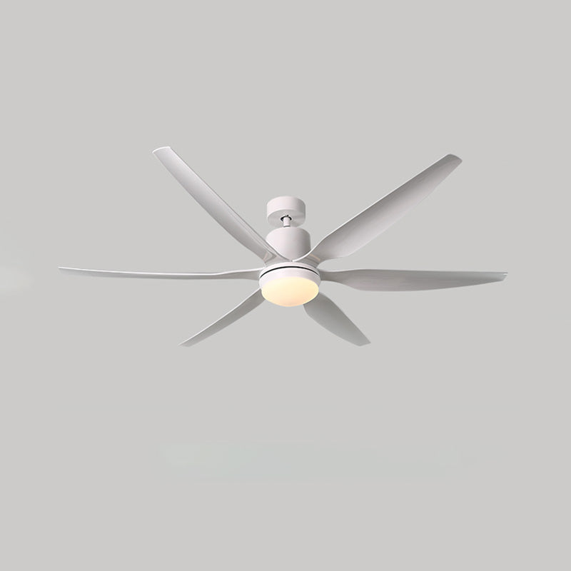 WOMO 5 Blade Large Ceiling Fan Lamp-WM5064