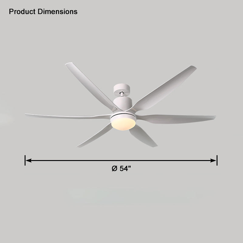 WOMO 5 Blade Large Ceiling Fan Lamp-WM5064