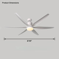 WOMO 5 Blade Large Ceiling Fan Lamp-WM5064