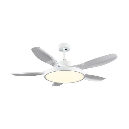 WOMO 5 Blade Large Ceiling Fan Lamp-WM5074