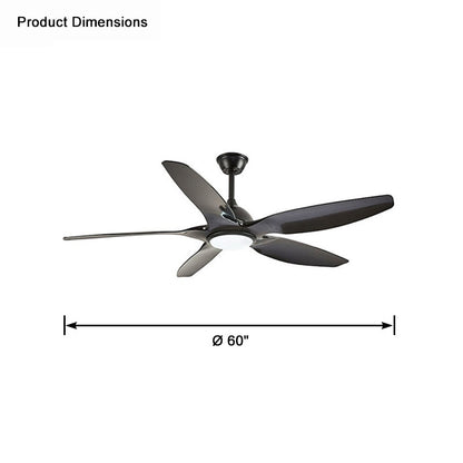 WOMO Modern Large Ceiling Fan Lamp-WM5076