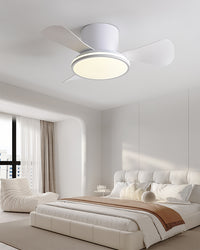 WOMO Small Low Profile Ceiling Fan Lamp - WM5166