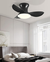 WOMO Small Ceiling Fan Lamp - WM5175