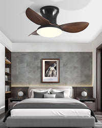 WOMO Small Ceiling Fan Lamp - WM5175
