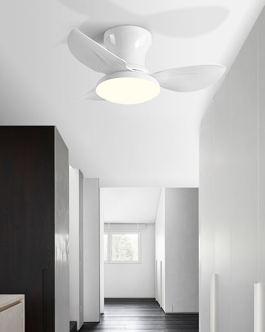 WOMO Small Ceiling Fan Lamp - WM5175