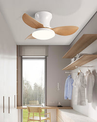 WOMO Small Ceiling Fan Lamp - WM5175