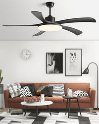 WOMO 60 inch Large Ceiling Fan Lamp - WM5179