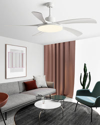 WOMO 60 inch Large Ceiling Fan Lamp - WM5179
