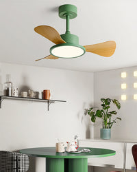 WOMO 30 inch Ceiling Fan Lamp - WM5181