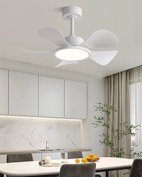WOMO 30 inch Ceiling Fan Lamp - WM5181