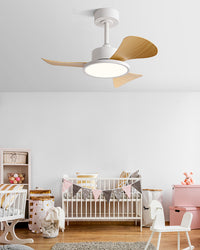 WOMO 30 inch Ceiling Fan Lamp - WM5181