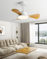WOMO 30 inch Ceiling Fan Lamp - WM5181