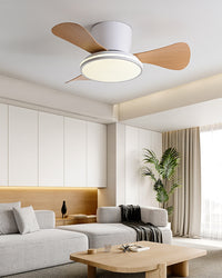 WOMO 28 Inch Small Hugger Ceiling Fan Lamp - WM5186