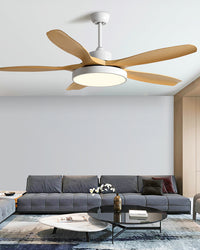 WOMO 5 Blade Large Ceiling Fan Lamp - WM5188