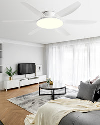 WOMO 6 Blade Low Profile Ceiling Fan with Bright Light - WM5191
