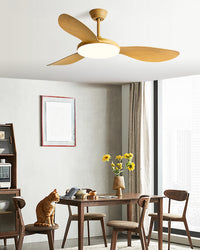 WOMO Modern Ceiling Fan Lamp - WM5192