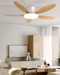 WOMO 5 Blade Low Profile Ceiling Fan Lamp - WM5194