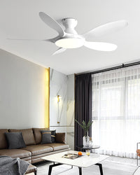 WOMO Large Low Profile Ceiling Fan Lamp - WM5195
