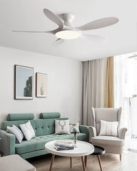 WOMO Large Low Profile Ceiling Fan Lamp - WM5195