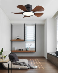 WOMO 30 Inch Low Profile Ceiling Fan Lamp - WM5196