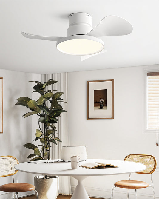 WOMO 30 Inch Low Profile Ceiling Fan Lamp - WM5196