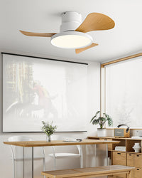WOMO 30 Inch Low Profile Ceiling Fan Lamp - WM5196