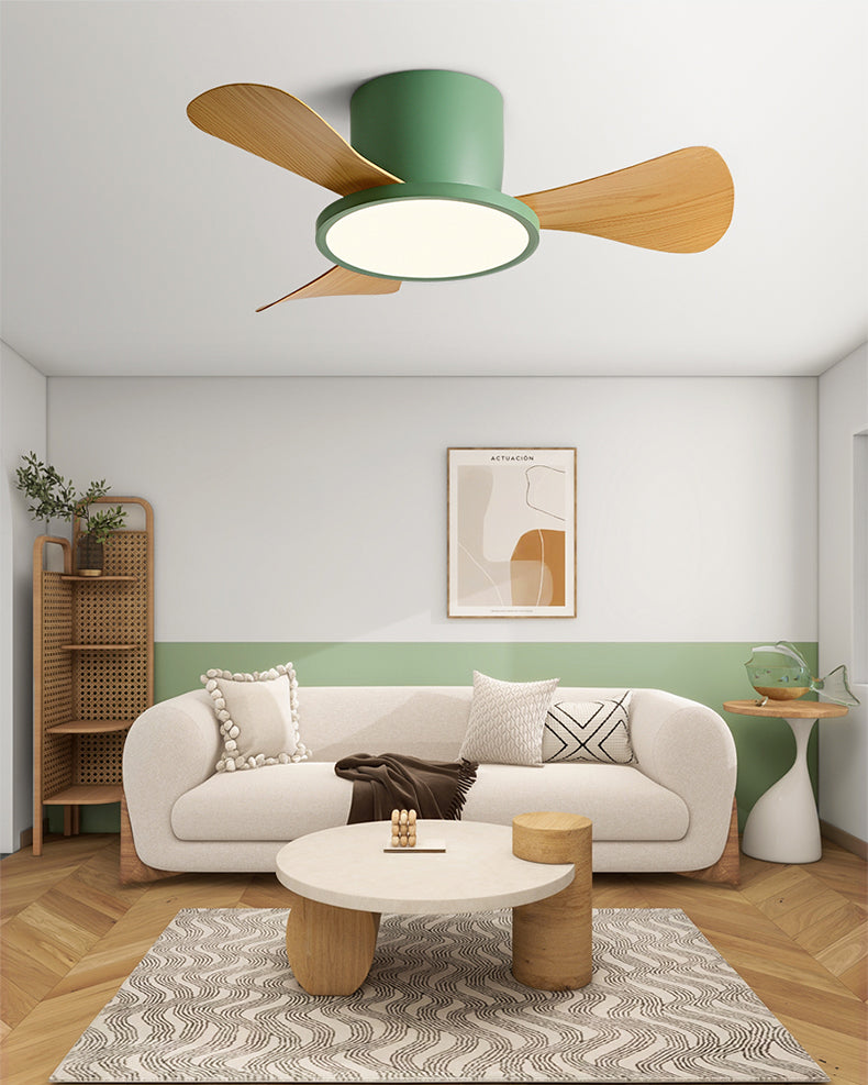 WOMO 30 Inch Ceiling Fan Lamp - WM5197