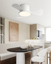 WOMO 30 Inch Ceiling Fan Lamp - WM5197