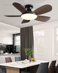 WOMO 42 Inch Low Profile Ceiling Fan Lamp-WM5201