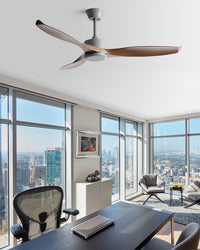 WOMO Modern Ceiling Fan - WM5203