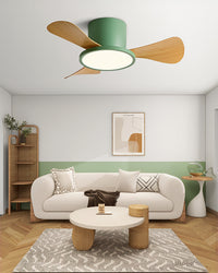 WOMO 30 Inch Low Profile Ceiling Fan Lamp-WM5205