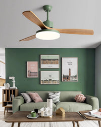 WOMO 3 Blade Modern Ceiling Fan Lamp - WM5210