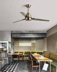 WOMO Industrial Stainless Steel Ceiling Fan-WM5213