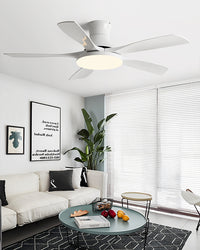 WOMO Modern Low Profile Ceiling Fan Lamp-WM5214