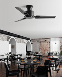 WOMO Low Profile Black Blade Ceiling Fan-WM5217a